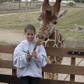 321-0053 Safari Park - Giraffe with Gabby